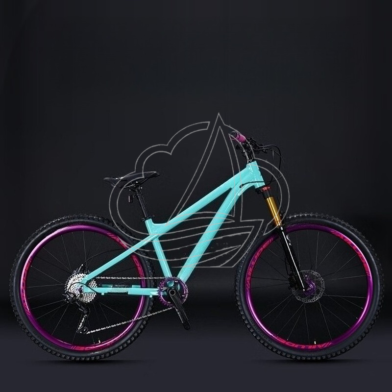 Mountain Biking Jumps - 12-speed Aluminum Alloy Mountain Bike, AM
